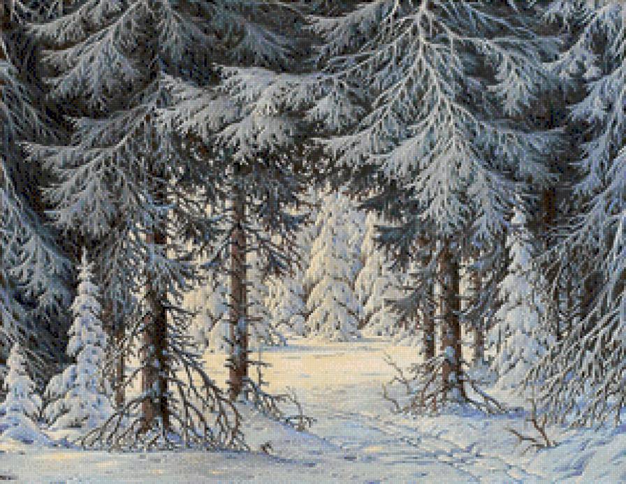 Зимний лес. - сосны, елки, лес. снег - предпросмотр