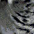 Предпросмотр схемы вышивки «тигр» (№721002)