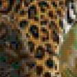 Предпросмотр схемы вышивки «Два гепарда» (№721044)