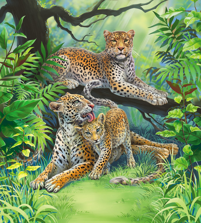 леопарды - природа, кошки, хищники, лео, семья, животные, леопард - оригинал