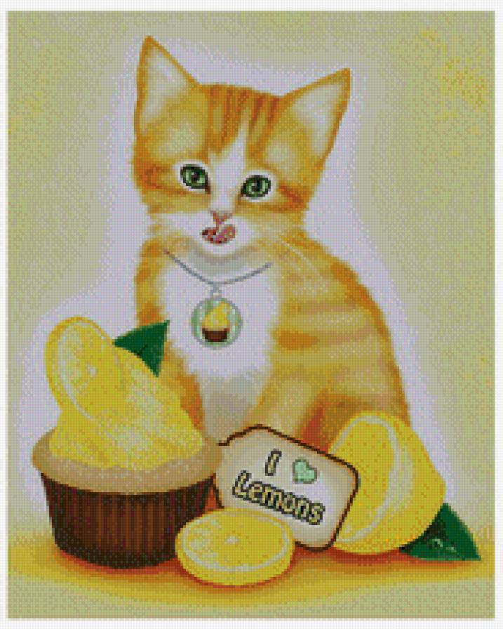 котик - еда, кот, кошечки, кошка, животные, цитрус, лимон, лимоны, коты - предпросмотр
