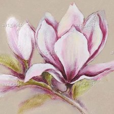 Оригинал схемы вышивки «magnolia» (№722791)