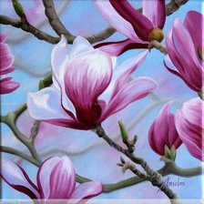 Оригинал схемы вышивки «magnolias» (№722795)