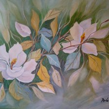 magnolias