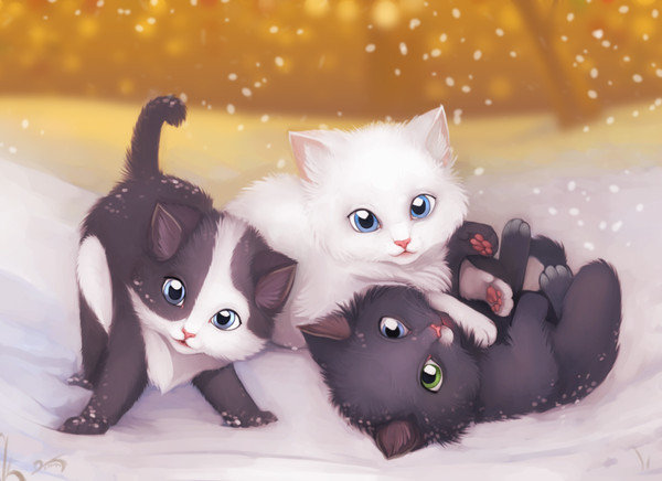 Три котенка - животные, снег, котики, котята - оригинал