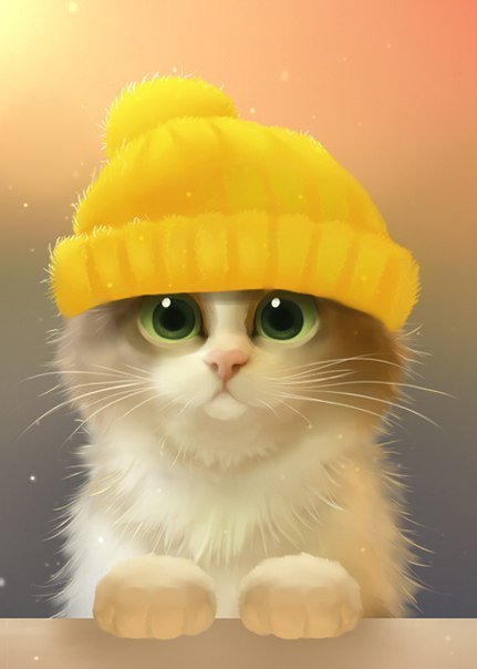 Котик в шапочке - шапочка, котик, кошка, кот, животные - оригинал