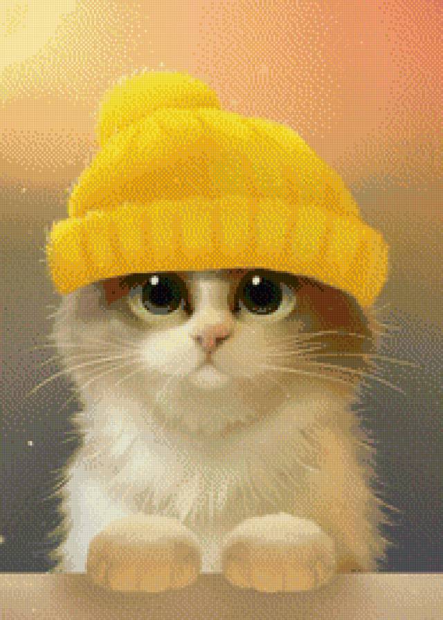 Котик в шапочке - животные, кошка, шапочка, котик, кот - предпросмотр