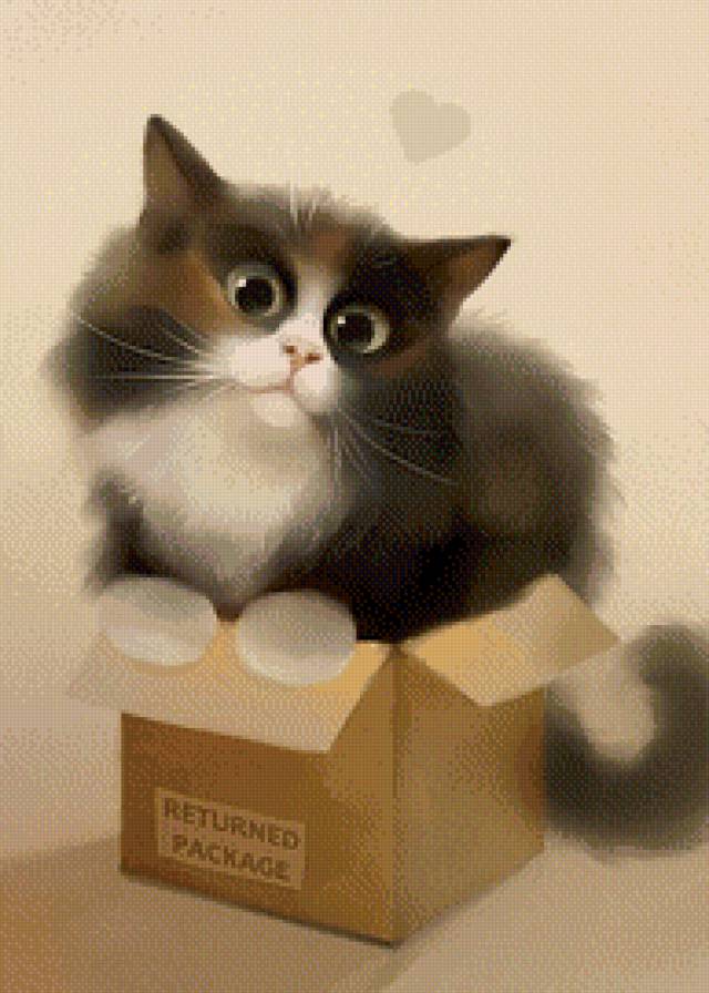 Котик в коробке - животные, коробка, любовь, кошка, кот, котик - предпросмотр