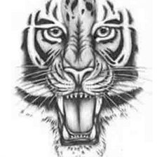 Схема вышивки «рёв тигра»