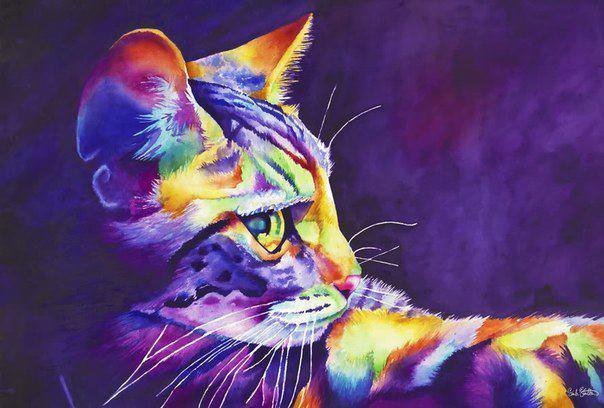 котенок радуга - кошки, животные - оригинал
