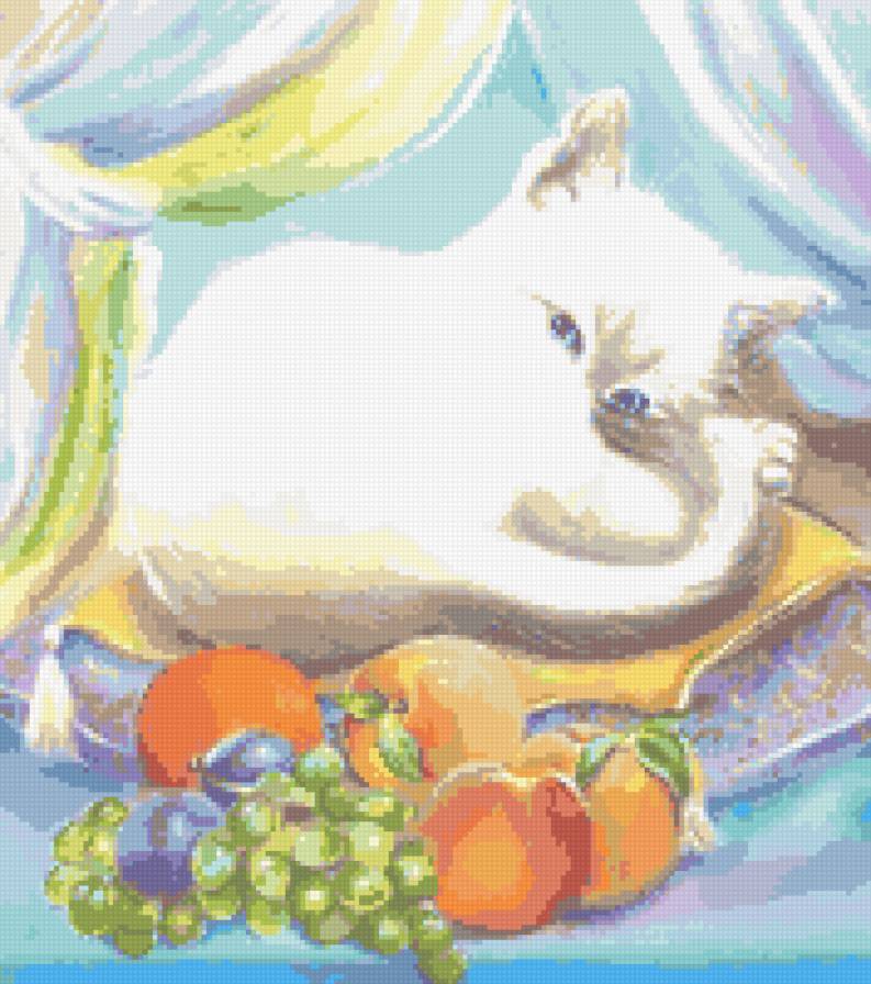 Сладкий котик - котята, ягоды, натюрморт, кошки - предпросмотр