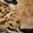 Предпросмотр схемы вышивки «леопард» (№723881)