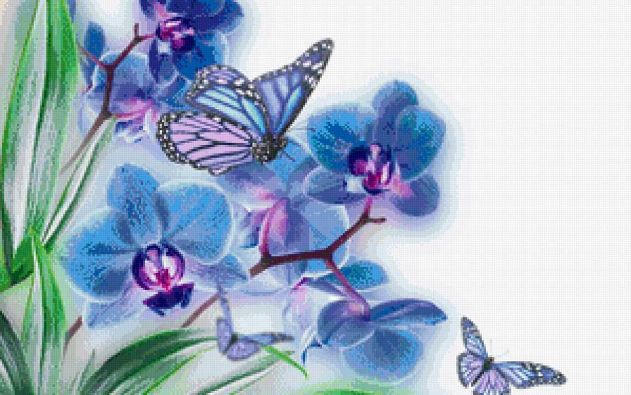 Орхидея - орхидея, бабочка, цветы - предпросмотр