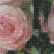 Предпросмотр схемы вышивки «розы» (№724319)
