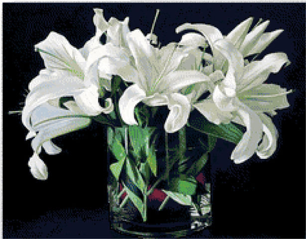 лилии - цветы в вазе, лилии - оригинал