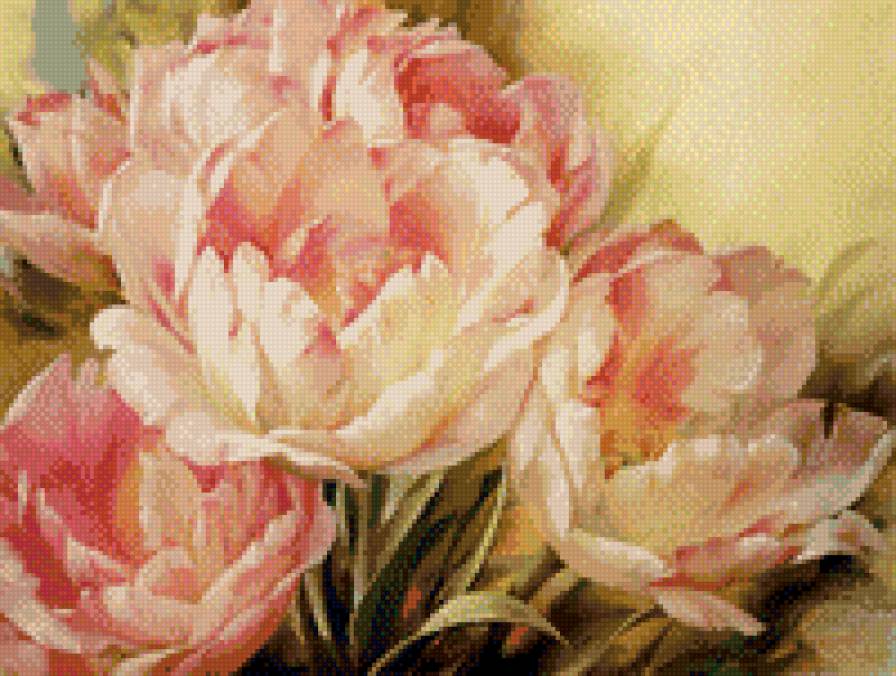тюльпаны - букет, цветы, нежность - предпросмотр