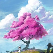 дерево сакуры в цвету