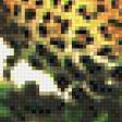 Предпросмотр схемы вышивки «леопард» (№725544)