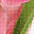 Предпросмотр схемы вышивки «Розовые тюльпаны» (№725865)