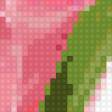 Предпросмотр схемы вышивки «Розовые тюльпаны» (№725874)