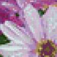 Предпросмотр схемы вышивки «цветы» (№726185)