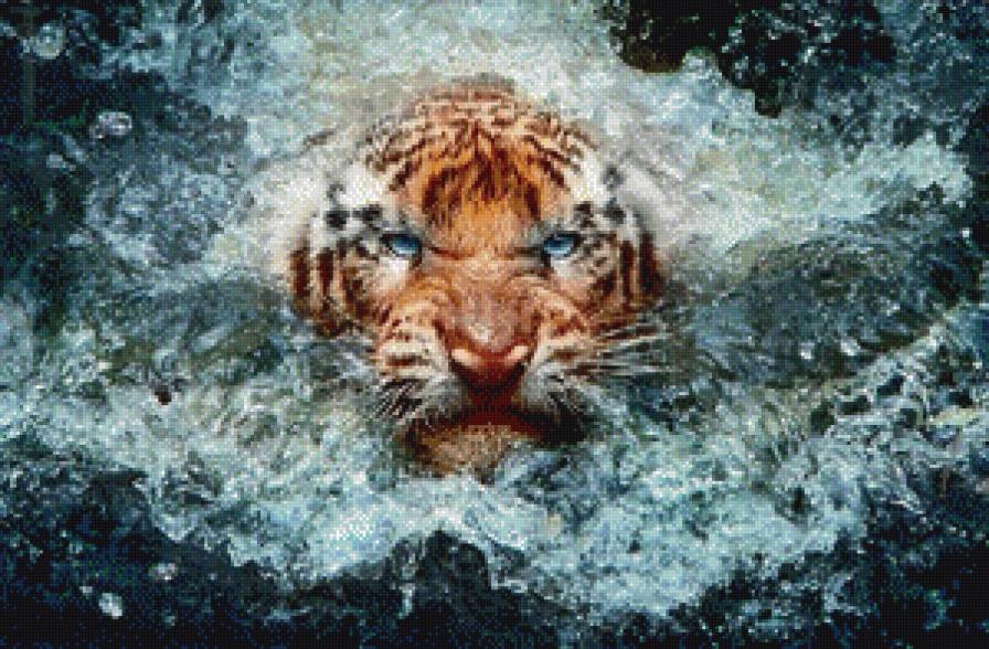 Тигренок - тигр - предпросмотр