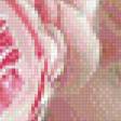 Предпросмотр схемы вышивки «букет розовый» (№726819)