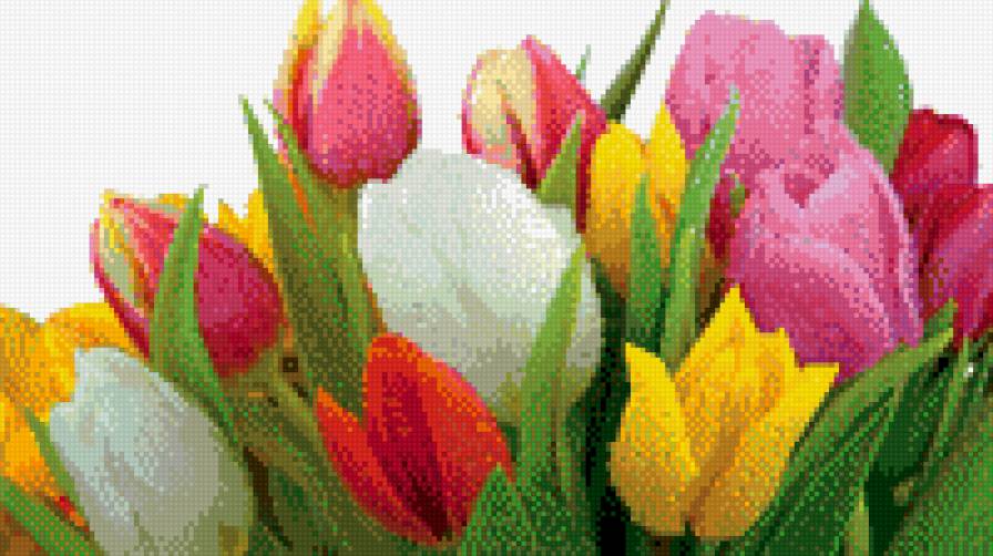 Тюльпаны - букеты, цветы - предпросмотр