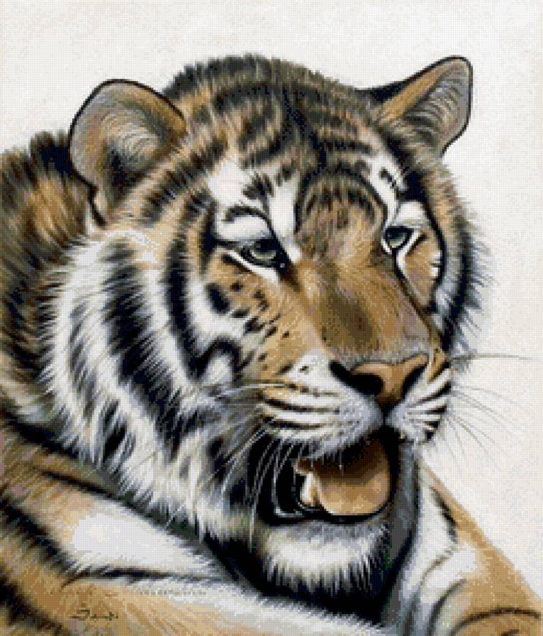 тигр - дикие животные - предпросмотр