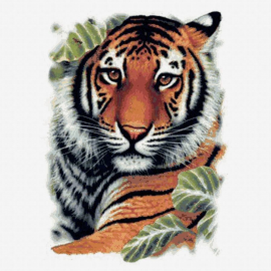 тигр - дикие животные - предпросмотр