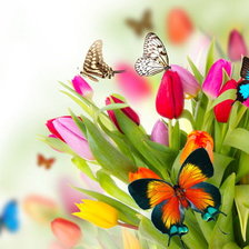 Оригинал схемы вышивки «цветы и бабочки» (№727752)