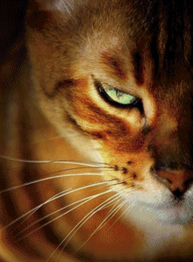 зеленые глаза - взгляд, кошка - предпросмотр