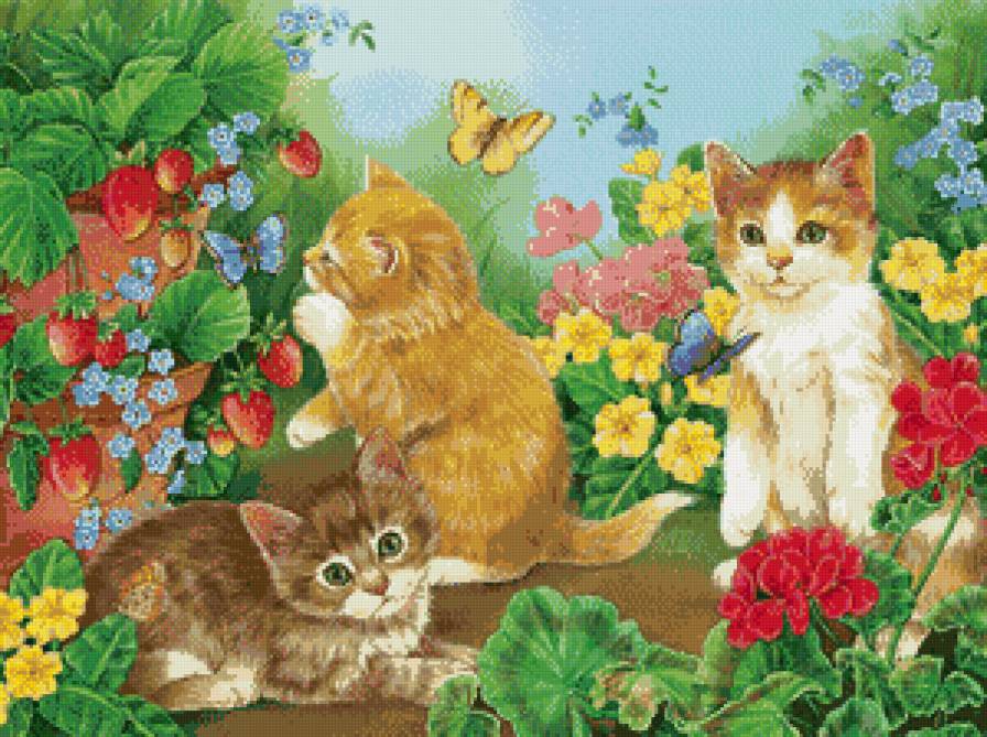 серия ,,кошки" - животные.кошки.цветы.ягоды - предпросмотр