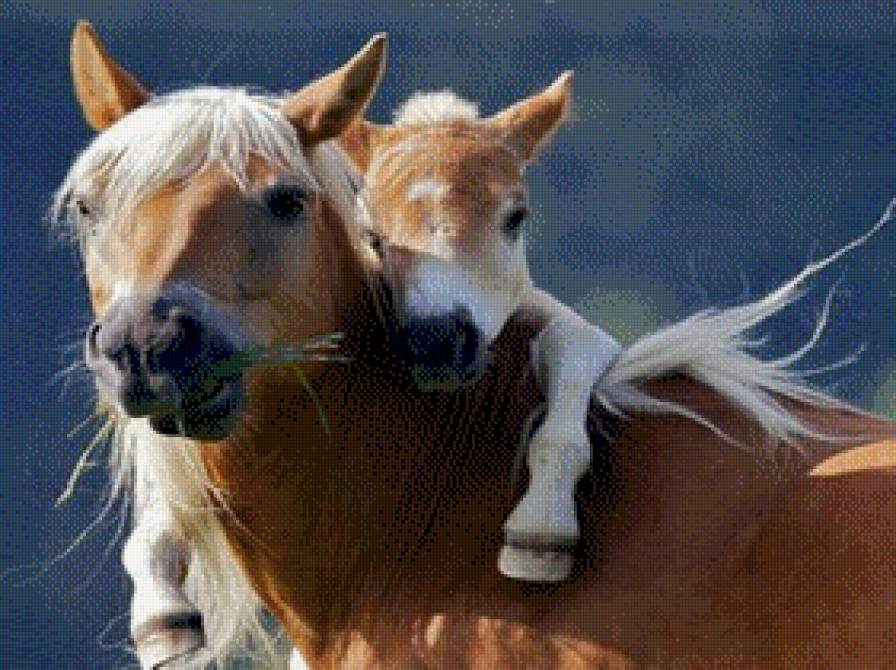 Лошадь с жеребенком - лошадь, жеребенок - предпросмотр
