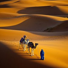 сахара-туарег