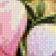 Предпросмотр схемы вышивки «квіти і метелики» (№729724)
