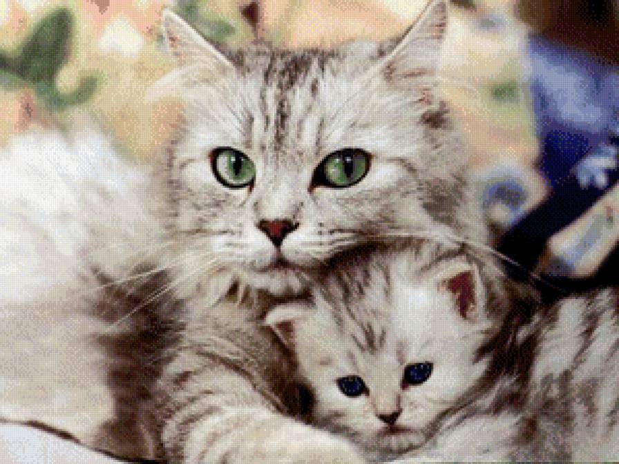 Кошка с котенком - животные, кот, кошка - предпросмотр