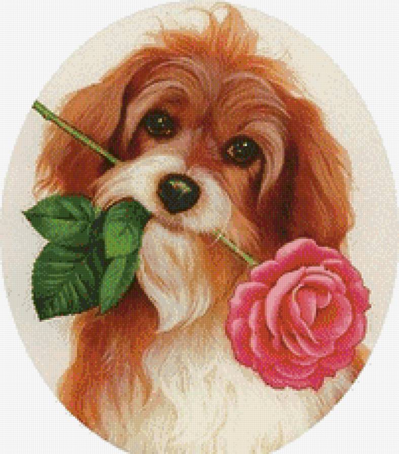 собачка с розой - предпросмотр