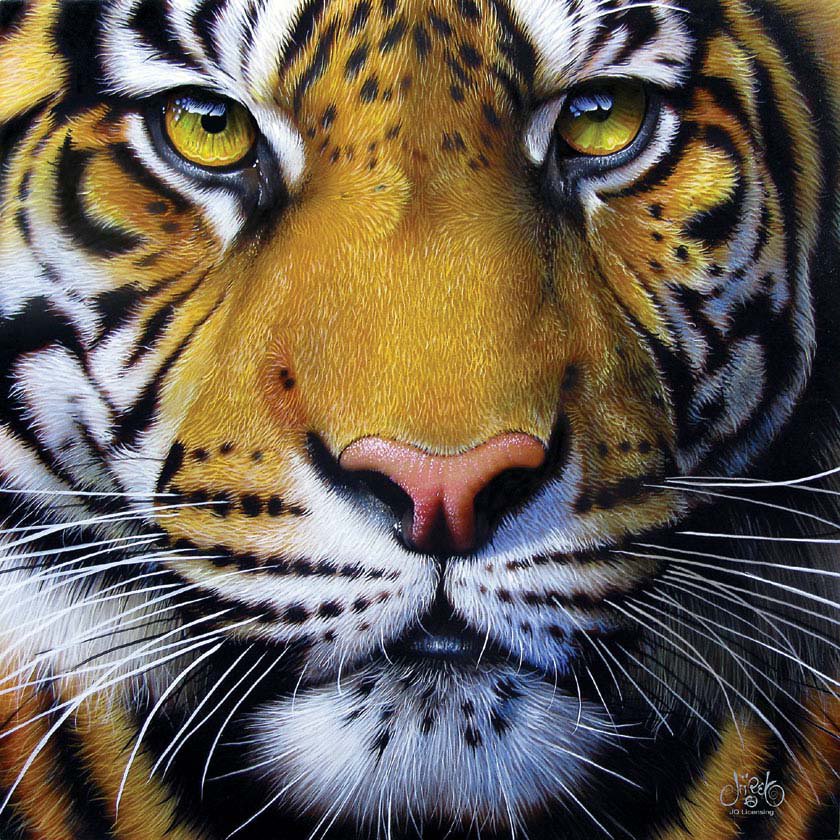 тигр - тигр, животные - оригинал