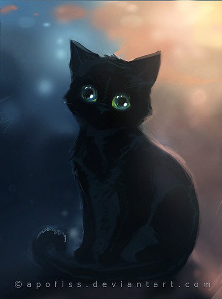 Черный кот - животные, кот, котик - оригинал