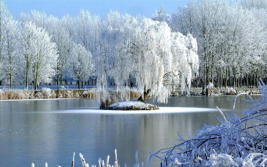зимнее озеро - озеро, зима - оригинал