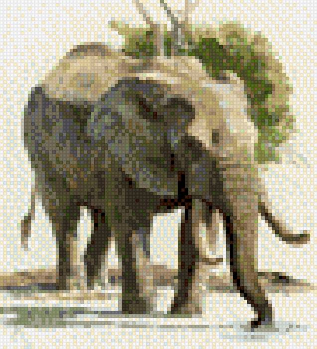 слон - слон. животные - предпросмотр