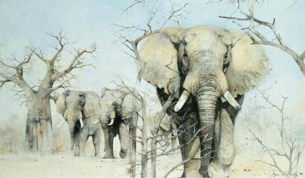 слоны - слоны. животные .африка - оригинал