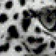 Предпросмотр схемы вышивки «Леопард» (№732438)
