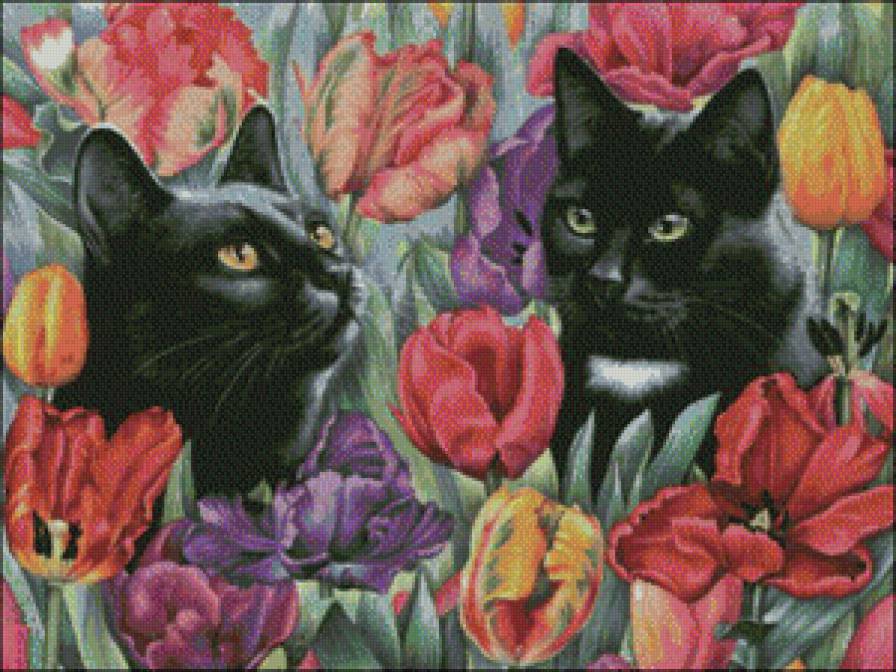 Черные кошки - кот, кошка - предпросмотр
