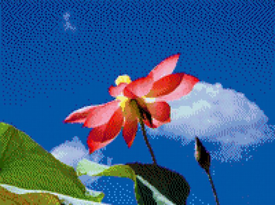 Небо - цветы - предпросмотр