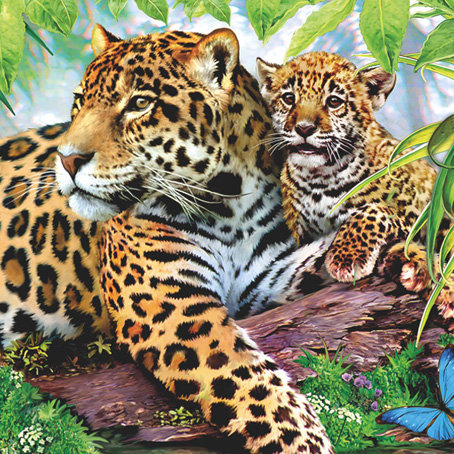 леопарды - животные, кошки - оригинал