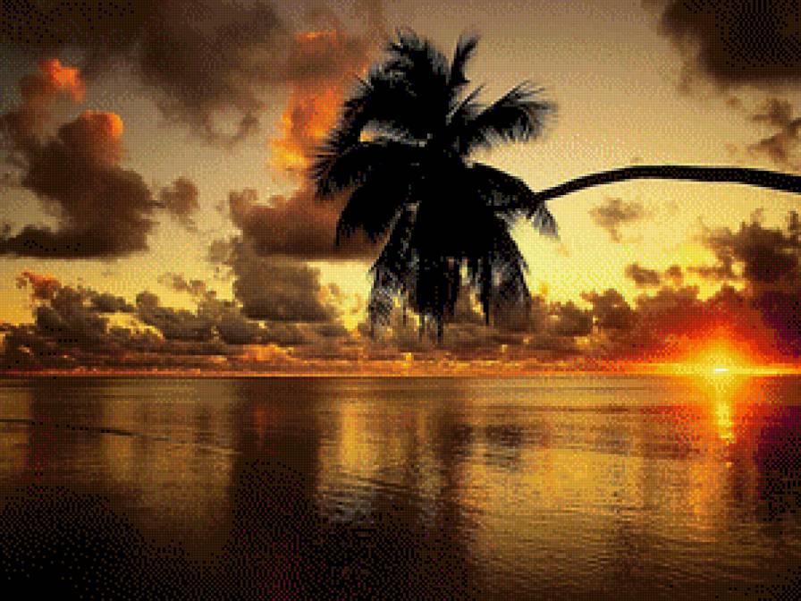 Морской закат - пальмы, закат, пляж - предпросмотр