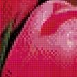 Предпросмотр схемы вышивки «Розовые тюльпаны» (№734876)