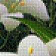 Предпросмотр схемы вышивки «лилии» (№735196)